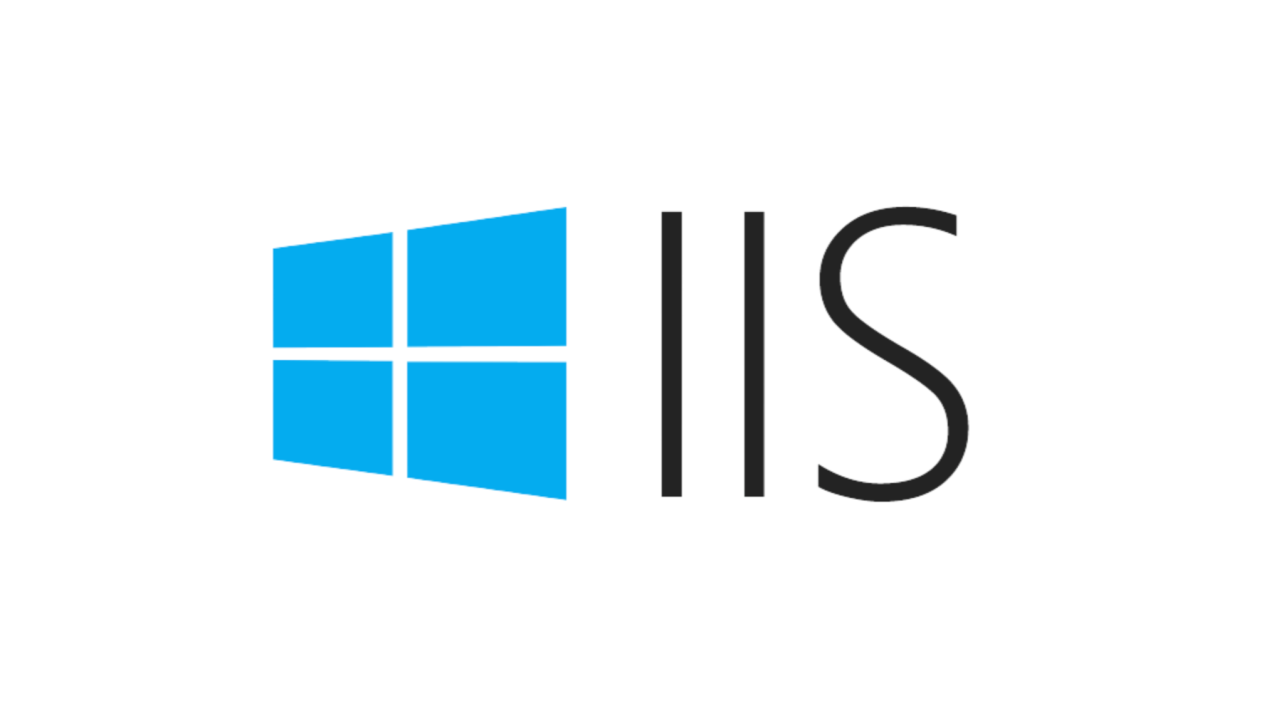 IIS DNS
